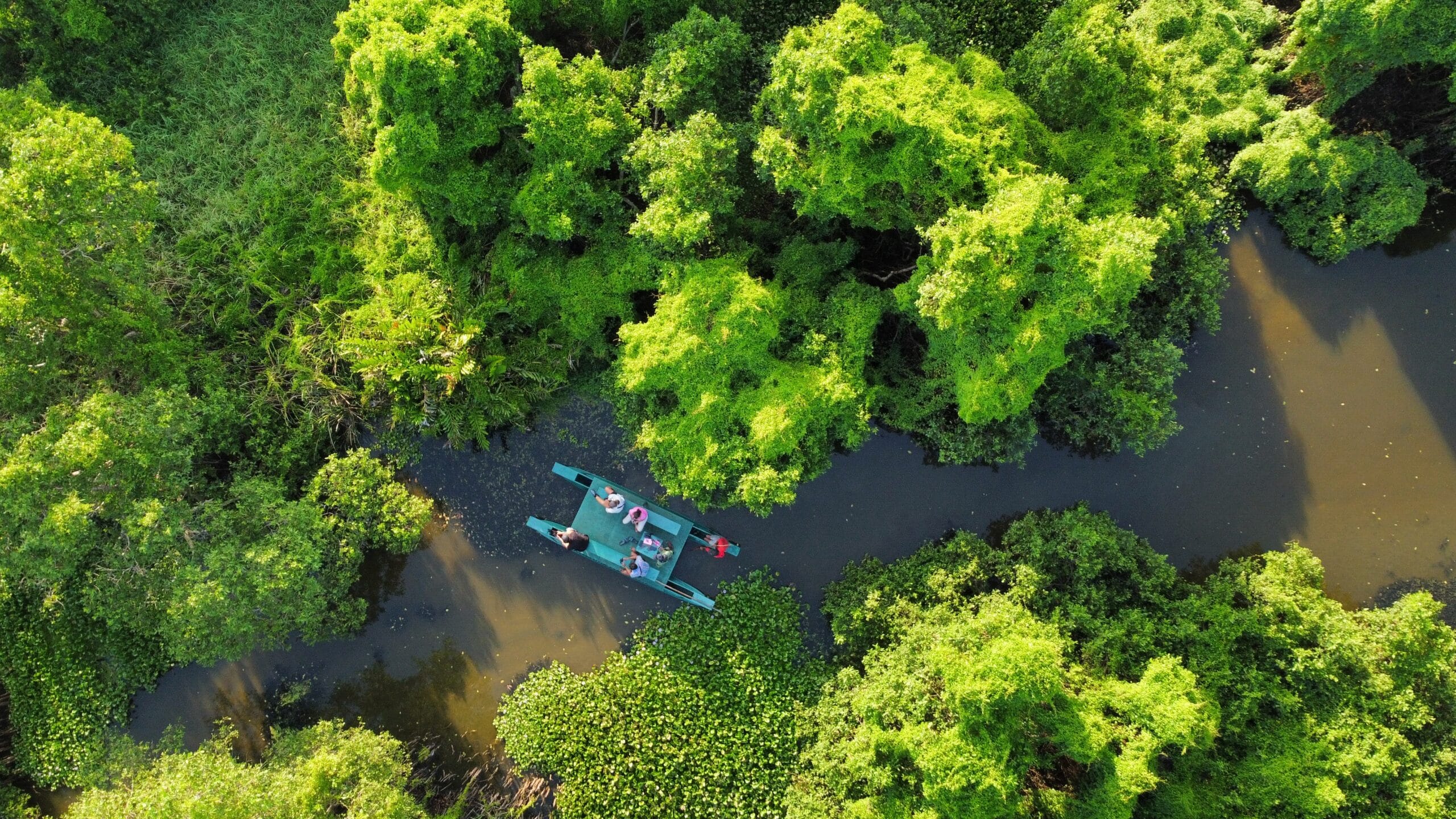 Traditional catamaran on serene waters