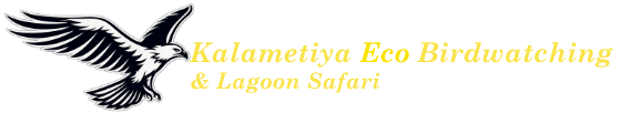 Kalametiya