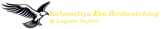 Kalametiya