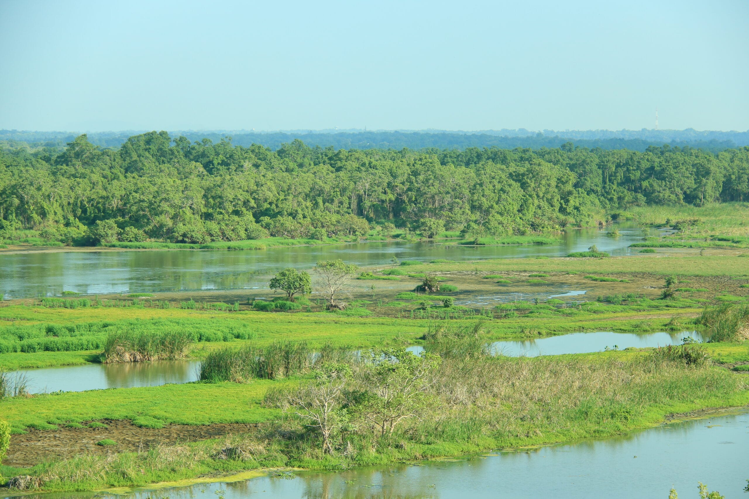 Kalametiya Sanctuary