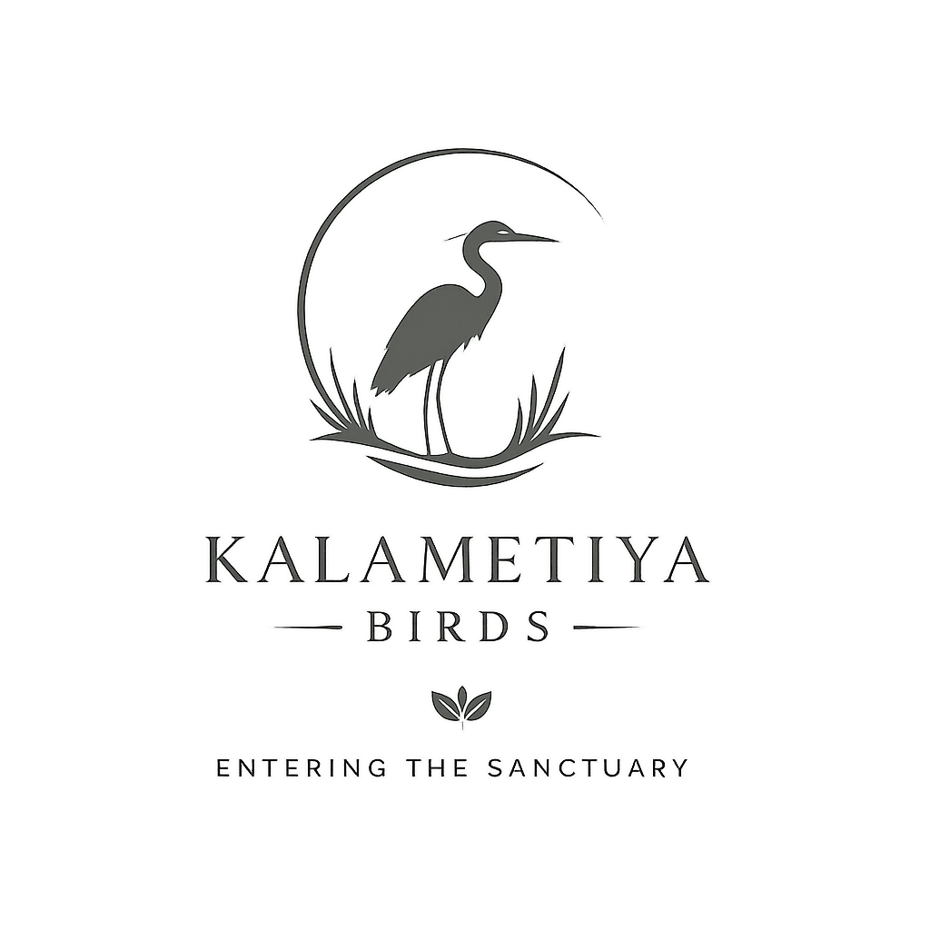 Kalametiya Birds Logo